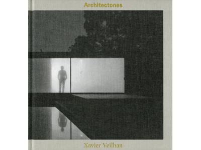 Xavier Veilhan, Architectones