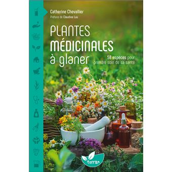 Plantes médicinales à glaner – 58 espèces pour prendre soin de sa santé