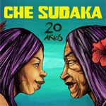 20 años - Vinilo