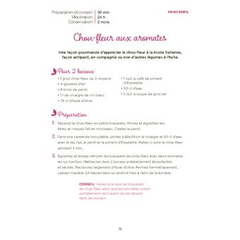 Conserves faciles. 30 recettes de saison pour manger sain