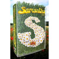 Samantha oups ! - Au Gîte - Coffret - Volume 2