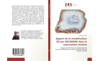 Apport de la modélisation 3D par DATAMINE dans la valorisation minière