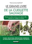 Le grand livre de la cueillette sauvage