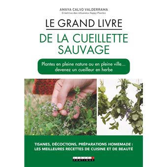 Le Grand Livre De La Cueillette Sauvage · Happy Plantes