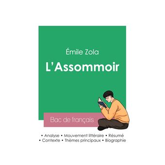 Réussir Son Bac De Français 2023 : Analyse De L'Assommoir D'Émile Zola ...