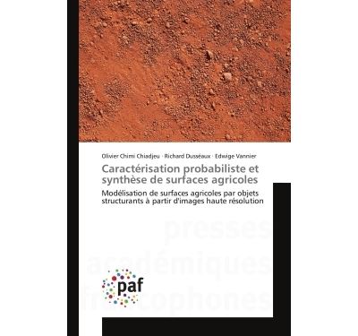 Caractérisation probabiliste et synthèse de surfaces agricoles