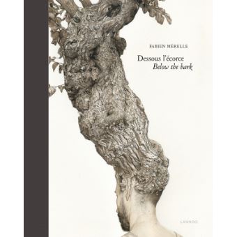 Fabien Mérelle works