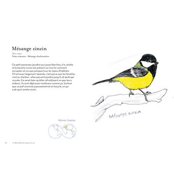 Petit guide des oiseaux à la con