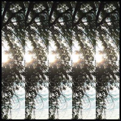 DIALECTIC OF IGNORENCE/LP