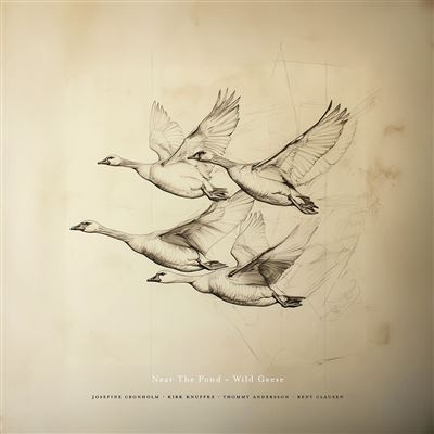 Wild Geese - Near The Pond