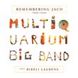Remembering Jaco
