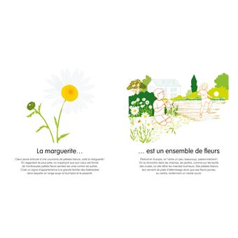 Dis, quelle est cette fleur ?