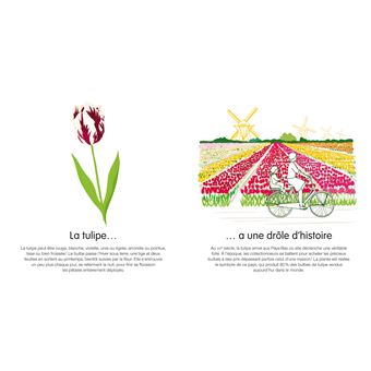 Dis, quelle est cette fleur ?