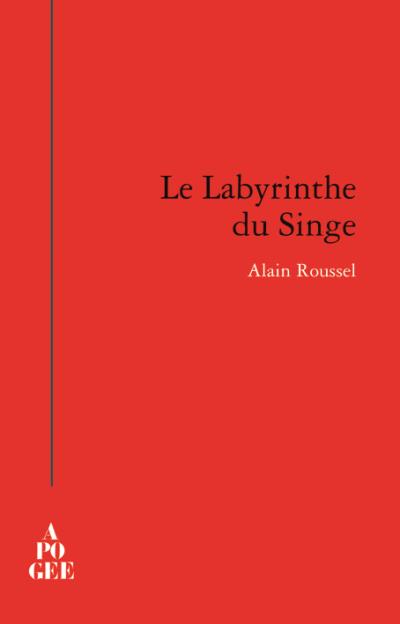 Le labyrinthe du singe - Alain Roussel - broché