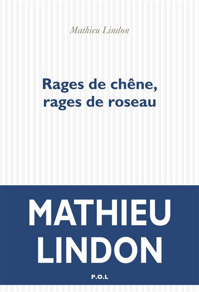 Rages de chêne, rages de roseau - Mathieu Lindon - broché