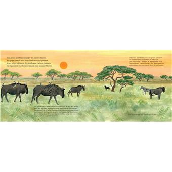 Dans les plaines du Serengeti