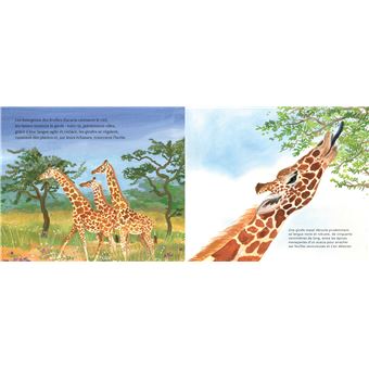 Dans les plaines du Serengeti