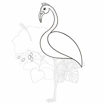 Oiseaux Magnifiques - Je médite, Je dessine et jecolorie