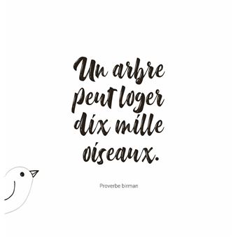 Oiseaux Magnifiques - Je médite, Je dessine et jecolorie