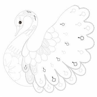 Oiseaux Magnifiques - Je médite, Je dessine et jecolorie