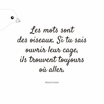 Oiseaux Magnifiques - Je médite, Je dessine et jecolorie