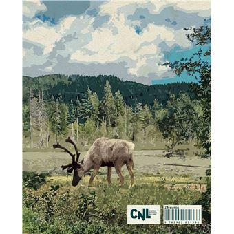 Mathieu Mestokosho, chasseur innu