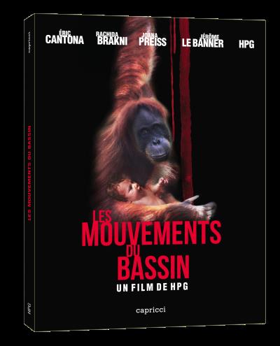 Les mouvements du bassin