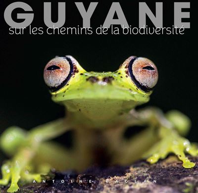 Guyane sur les chemins de la biodiversite