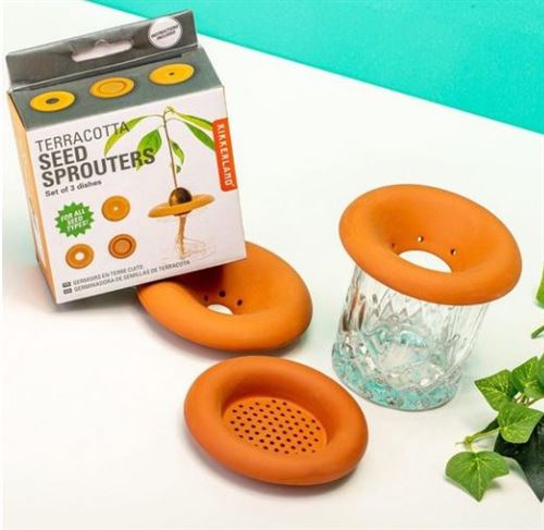 Plats à germer en terre cuite Kikkerland (lot de 3)