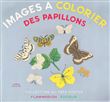 Images a colorier des papillons