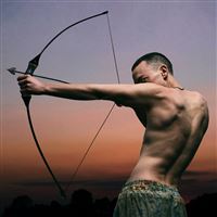 Polari - Vinilo Morado