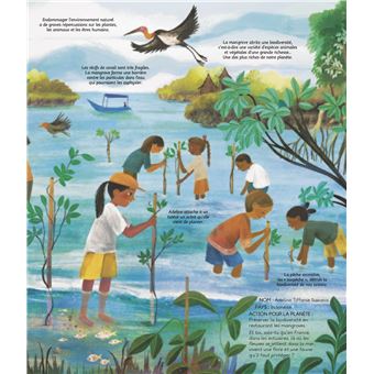 Assez grand pour aider la planète !