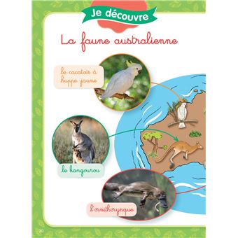 L'île du koala, niveau 1 - J'apprends à lire Montessori