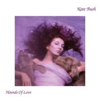 Hounds Of Love