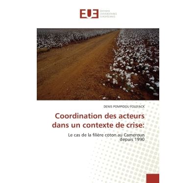 Coordination des acteurs dans un contexte de crise: