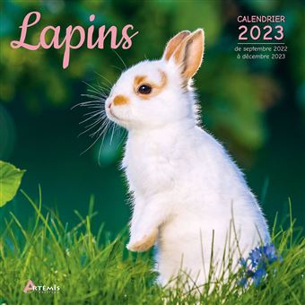 Calendrier Lapins 2023 