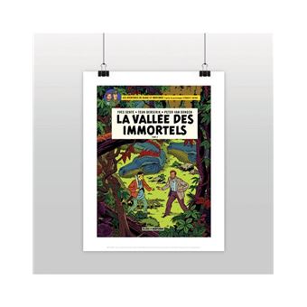 Affiche Blake et Mortimer La vallée des immortels T2 28 x 35,5 cm