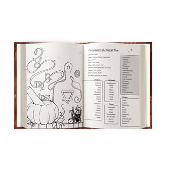 Grimoire de pratique 2023 - 365 jours d'études pour développer ses capacités magiques et créatives en Magie des Fourneaux