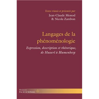 Langages de la phénoménologie