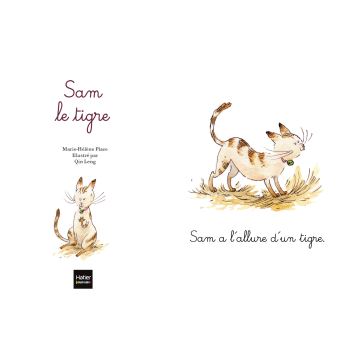 Coffret premiers livres à lire seul - 3 histoires de Sam et Romy niveau 3 - Pédagogie Montessori