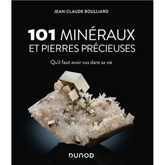 101 Mineraux Et Pierres Precieuses Qu Il Faut Avoir Vus Dans Sa Vie Broche Jean Claude Boulliard Alain Jeanne Michaud Achat Livre Fnac