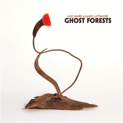 GHOST FORESTS