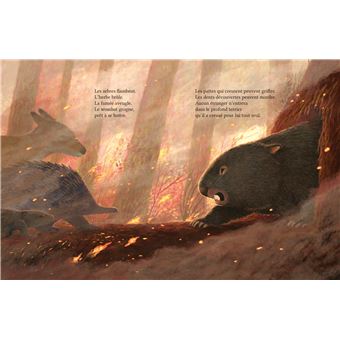 Un abri sous la terre