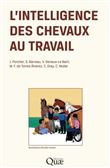 L'intelligence des chevaux au travail