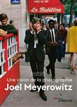 Joel Meyerowitz, une vision de la photographie