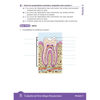 Tout le DEAS en QCM/QROC - IFAS - Diplôme d'État d'aide-soignant -4e ed- nouveau reférentiel 2021