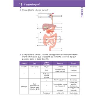Tout le DEAS en QCM/QROC - IFAS - Diplôme d'État d'aide-soignant -4e ed- nouveau reférentiel 2021