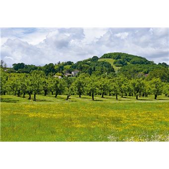 Créer et entretenir un verger permaculturel