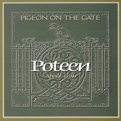 Pigeon on the gate