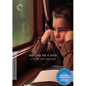 My Life As A Dog Blu-ray - Lasse Hallström - Blu-ray - Achat & Prix | Fnac